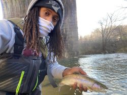 Rainbow Trout Fish Pennsylvania 2022